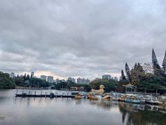-荔枝公园(福田区)