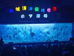 -泉城欧乐堡海洋极地世界