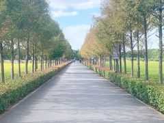 -嘉北郊野公园