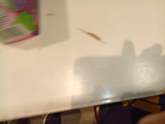 -紫光园·烤鸭·北京菜(劲松店)