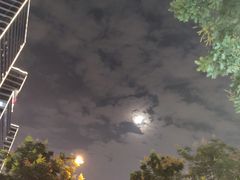 -曹丞相·地锅鸡·地锅鱼(武林店)