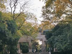-灵谷景区