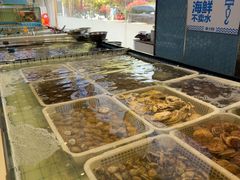 -大锅强·蒸海鲜青岛菜(金沙滩店)