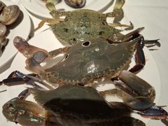 -领鲜活海鲜榴莲自助火锅(东门店)