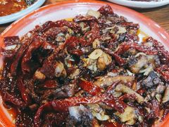 -柴窝堡22号辣子鸡·传承新疆菜