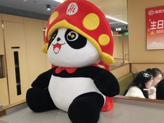 -海底捞火锅(飞马水城店)