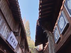 -乌镇西栅景区