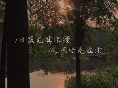 -顺峰山公园