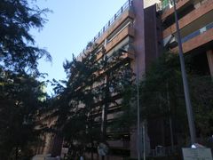 -香港大学