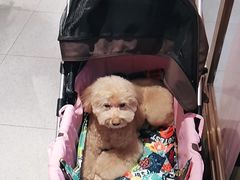 -FAELING PETS美天灵宠物(富力广场店)