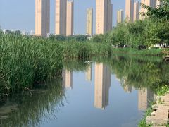 -前关湿地公园