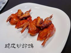 脆皮妙龄鸽-新荣记(椒江店)