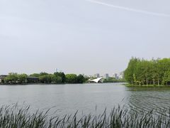 -无锡蠡湖国家湿地公园-蠡园