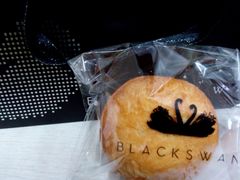 android_upload_pic-BLACKSWAN黑天鹅(环球店)
