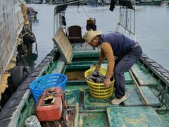 -蓝湾碧波·老字号·疍家非遗海上餐厅