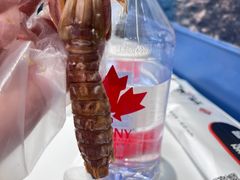 -海味当家·蒸锅海鲜(中山广场创始店)