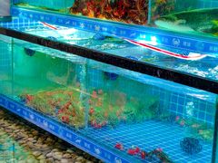 -周记老沈阳焦火鸡架