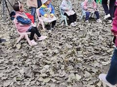 -乐融儿童之家早教托育(燕郊校区)