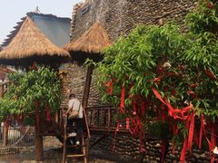 -呀路古热带植物园