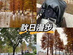 -飞来湖湿地公园