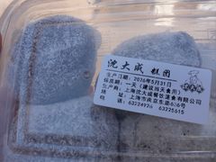 -沈大成(南京东路店)