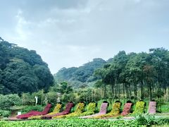 -广州市石门国家森林公园