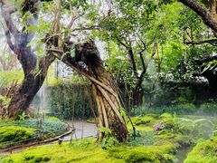 -Chom Cafe and Restaurant