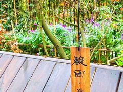 -三圣花乡旅游区