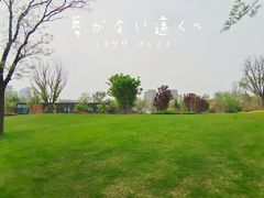 -窗外西餐厅(普罗理想国店)