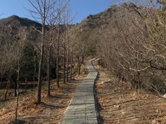 -北京鹫峰国家森林公园