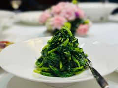 清炒豆苗-西郊壹号