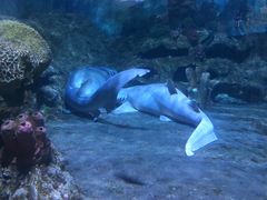 -厦门海底世界