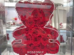 -ROSEONLY诺誓(广州K11店)