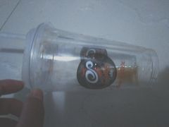 -CoCo都可(燕塘店)