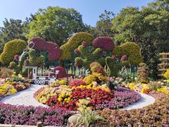 -上海共青森林公园