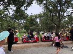 -长洲岛都市农业公园