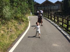 -武陵山森林公园