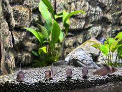 -上海海洋水族馆