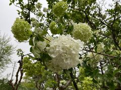 -苏州上方山国家森林公园