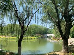 -大兴滨河森林公园