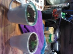 盆栽奶茶-原点咖啡厅