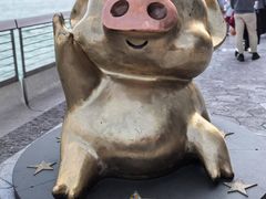 -星光大道