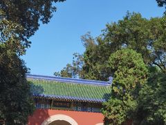 -灵谷景区