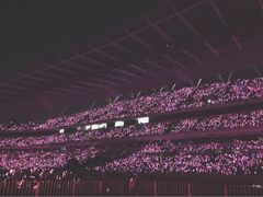 奥林匹克体育中心体育馆-南京奥林匹克体育中心-体育馆