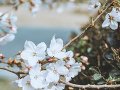 -西北湖绿化广场