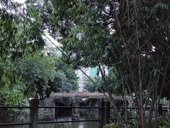-晓港公园