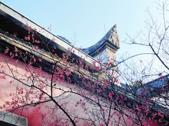 -乌山风景区