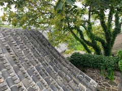 -蓬莱阁景区