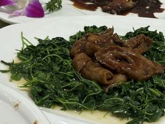 草头圈子-光明邨大酒家(汇阳广场店)