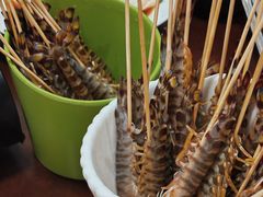 斑节虾-金龙·打边炉(武进路店)